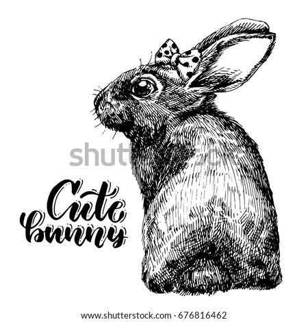 Hand Drawn Sketch Rabbit for Design, Website, Background, Banner. Ink cute hare with bow and lettering. Cute bunny