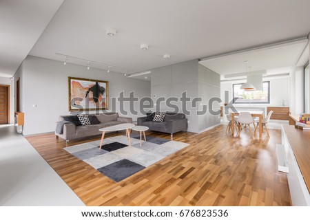 Modern apartment with open living room, kitchenette and dining area Royalty-Free Stock Photo #676823536