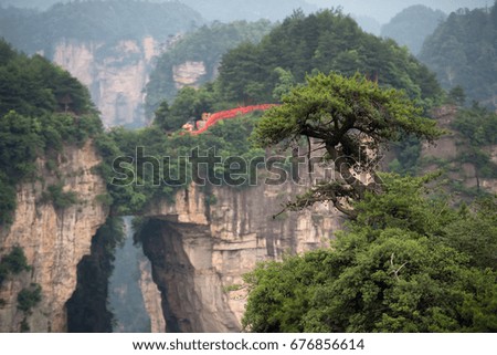 Scenic view of rock pillars with green foliage in the Zhangjiajie National Forest Park, China
