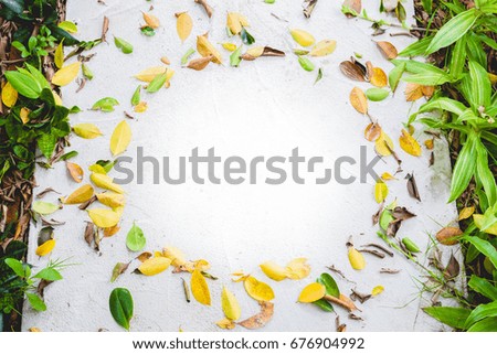 Round circle frame of picture or text from three color fallen leaves on white cement corridor.