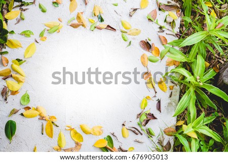 Round circle frame of picture or text from three color fallen leaves on white cement corridor.