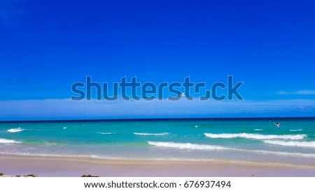 Beach in Miami Ocean.