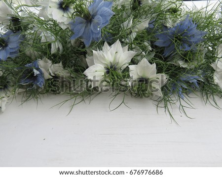 Background of Nigella / Love in a Mist flowers on a white wooden surface with space for text underneath