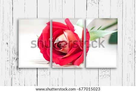 Three frames set with beautiful red rose picture on old painted wooden background. Interior decor mock up