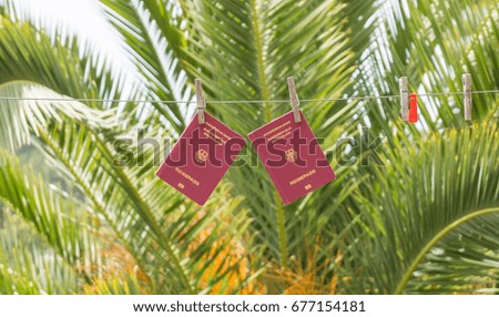Two German passports hanging on clothes lines in front of a large palm tree