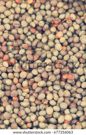 Green and red pepper seeds, background. Toned