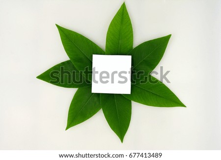 Green Leaf, Creative Patterns. with paper card note.top view for copy space .The concept of nature. on White background