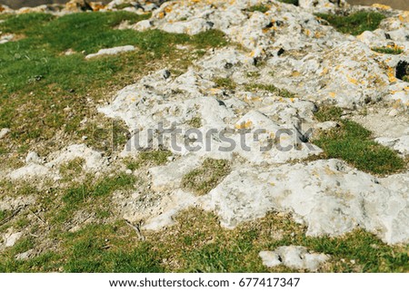 The natural texture of the earth. Mountain texture. Stones and grass. Organic texture

