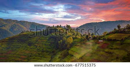 Beautiful landscape in southwestern Uganda, at the Bwindi Impenetrable Forest National Park, at the borders of Uganda, Congo and Rwanda. The Bwindi National Park is the home of the mountain gorillas. Royalty-Free Stock Photo #677515375
