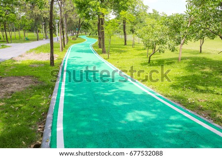 Green bicycle path in the park
