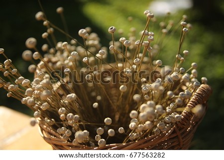 Dried flowers in a basket