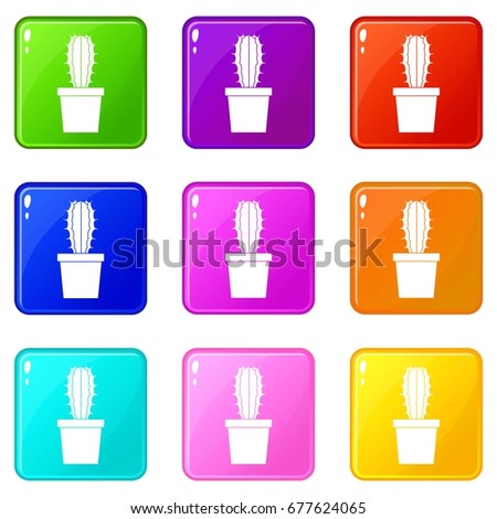 Cactaceae cactus icons of 9 color set isolated vector illustration