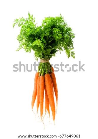 Bunch  of new carrots isolated on white  Royalty-Free Stock Photo #677649061