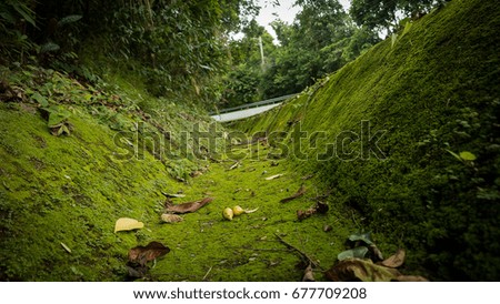 Drainage ditch on the road