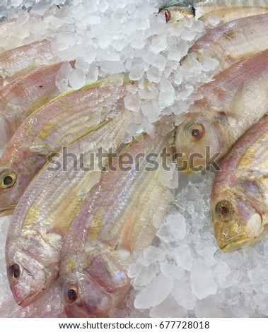 Fresh fish on ice in market