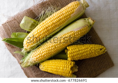 Set of raw and boiled corn on a sackcloth and on a white background. Close-up top view Royalty-Free Stock Photo #677826691