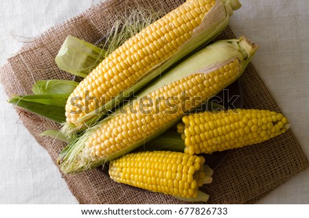 Set of raw and boiled corn on a sackcloth and on a white background. Close-up top view Royalty-Free Stock Photo #677826733