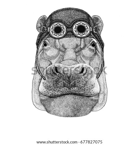 Hippo, Hippopotamus, behemoth, river-horse wearing aviator hat Motorcycle hat with glasses for biker Illustration for motorcycle or aviator t-shirt with wild animal