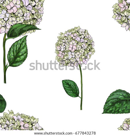 Seamless pattern with flowers of phlox isolated on white background. Vector