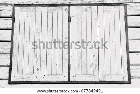 wood/Black and White Texture/surface and texture / black and white background / wall background/wallpaper