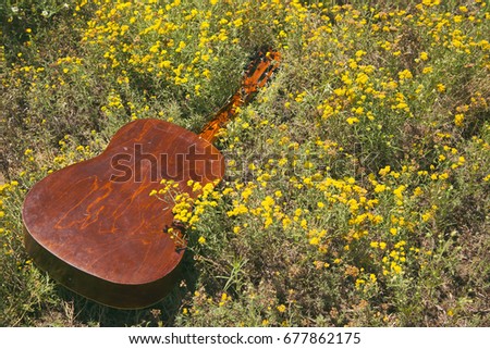The guitar lies on the ground, the concept: a song about summer, music in colors, a flower garden