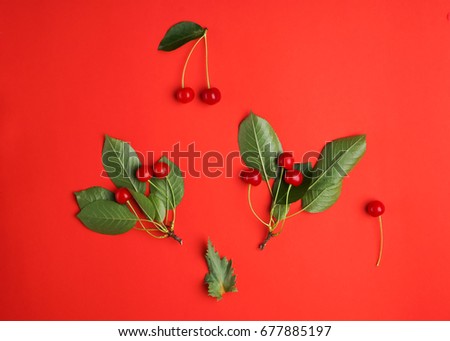 Perfect composition of cherries and green leafs. Perfect picture of berries.