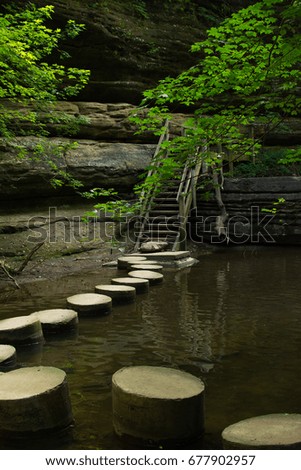 Stepping stones across the stream on a Summer morning.  Matthiessen State Park, Illinois, USA.