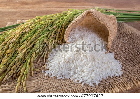 White rice (Jasmine rice) Royalty-Free Stock Photo #677907457
