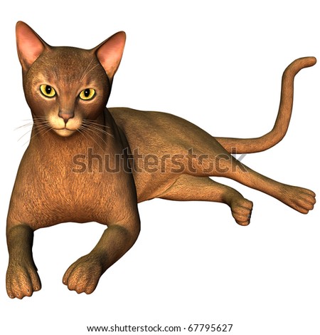 3d rendering  a breed cat as illustration