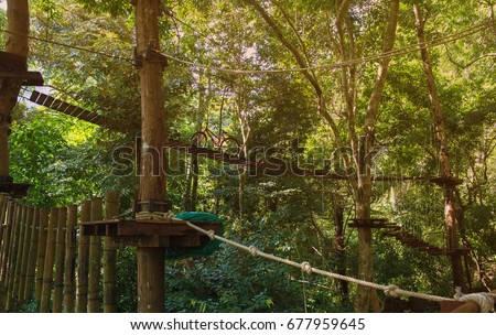 Suspension bridge, walkway  stairway to the adventurous, tree top cross to the other side. Royalty-Free Stock Photo #677959645