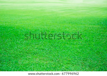 Grass lawn blur
