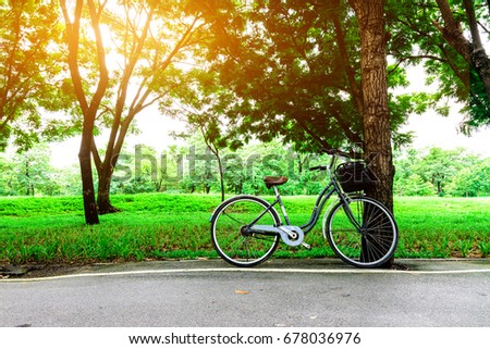 Bicycle on road in urban city park.