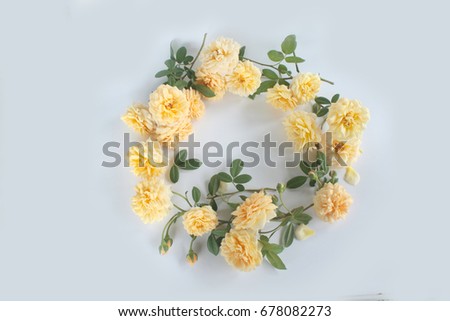 Beautiful round of English rose flower bouquet on white background.