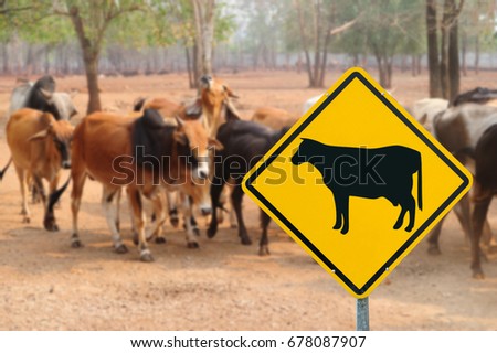 Yellow traffic sign "Caution Cow Crossing" on the cow background