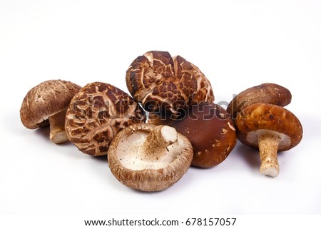 Fresh Shiitake mushroom  isolated on white background. Royalty-Free Stock Photo #678157057