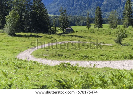 Alpine panorama with green trees, pathways, and clear blue sky