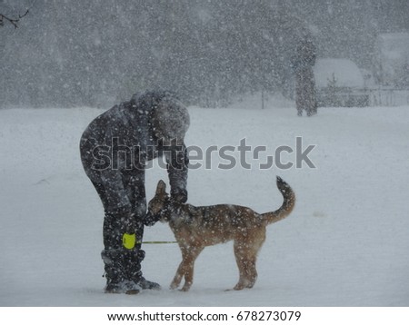 person and dog,  blizzard 