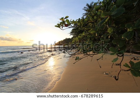 Tropical beach with sunset background.