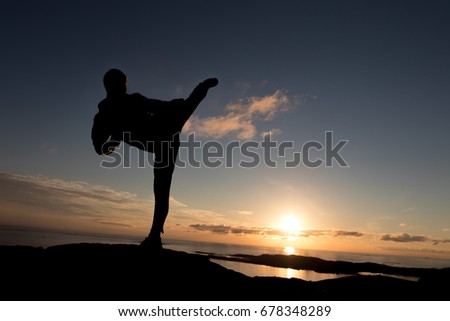 Silhouette of man doing TaeKwonDo or Karate kick in the sunset. Martial art concept.