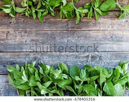 Fresh aromatic herbs, mint on an old wooden background with a copy empty space for text, selective focus and toned image