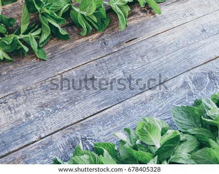 Fresh aromatic herbs, mint on an old wooden background with a copy empty space for text, selective focus and toned image