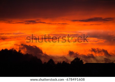 dramatic evening sky with silhouettes of plants and trees in the foreground and a red, orange cloudscape in the sunset sky of a sunny sundown