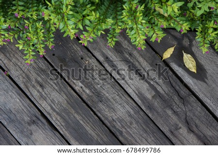 Wooden floor in the garden / top view