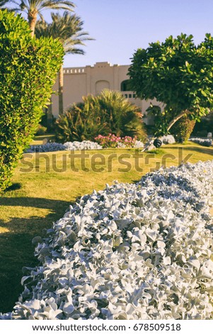 Beautiful garden in the resort