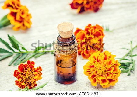 marigold  extract. Medicinal plants. 