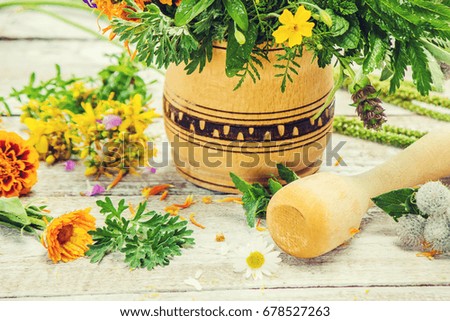 Herbs in a mortar. Medicinal plants. Selective focus. 