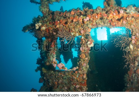 Wheelhouse of an artificial reef named the "United Caribbean".  In the waters off Deerfield Beach, Florida. This wreck tilled at on its side picture taken looking straight up at the surface.