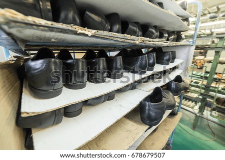 Shelves with a variety of shoes. Shoe factory.