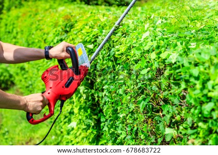 mowing hedges
