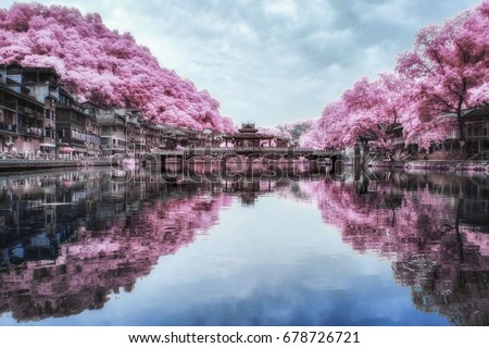 Beautiful  Landscape Infrared Photography